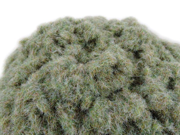 Frosty Grass