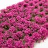 Magenta Flowers - Image 2