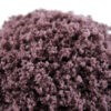 Plum Wine Foam Flock - Image 2